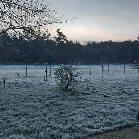 Natuurslaapkamer De Zaadeest Boskamer Lomm Buitenkant foto