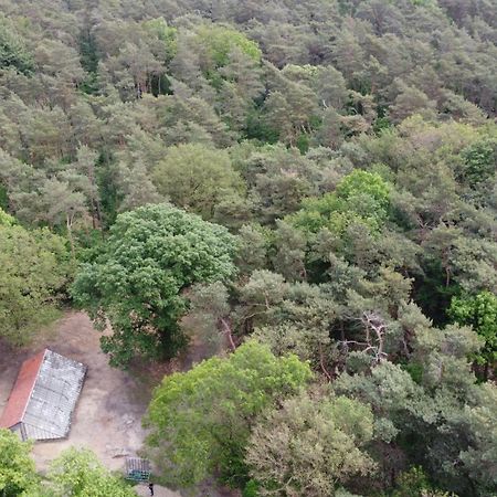 Natuurslaapkamer De Zaadeest Boskamer Lomm Buitenkant foto