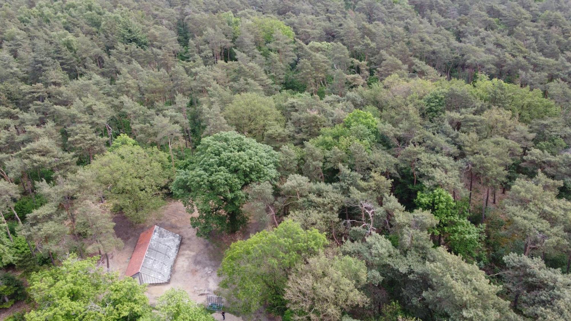 Natuurslaapkamer De Zaadeest Boskamer Lomm Buitenkant foto